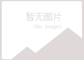 大庆大同盼山机械有限公司